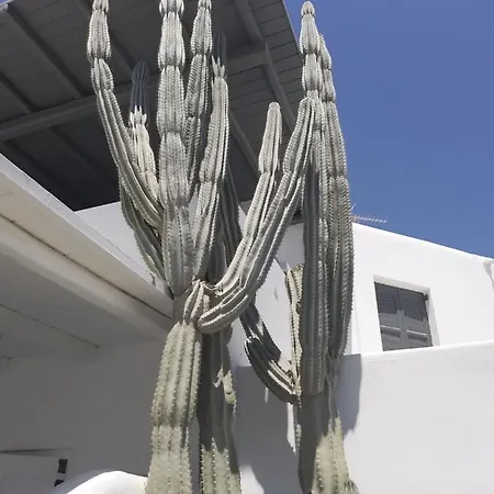 דירה Rosemary Suites And More.... Mykonos Town